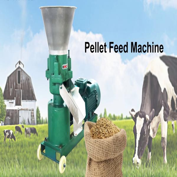 Pellet Machinery, Crusher, Mixer, Cooler, Packing MachineWhat is the Function of an Electric Feed Pelleting Machine?